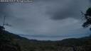 ./images/calvert/fitz-hugh-hecate/20250508/fitz-hugh-hecate20250508_212507M.jpg