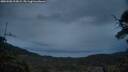 ./images/calvert/fitz-hugh-hecate/20250508/fitz-hugh-hecate20250508_213009M.jpg