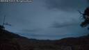 ./images/calvert/fitz-hugh-hecate/20250508/fitz-hugh-hecate20250508_213508M.jpg