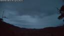 ./images/calvert/fitz-hugh-hecate/20250508/fitz-hugh-hecate20250508_214008M.jpg