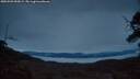 ./images/calvert/fitz-hugh-hecate/20250509/fitz-hugh-hecate20250509_052009M.jpg
