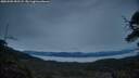 ./images/calvert/fitz-hugh-hecate/20250509/fitz-hugh-hecate20250509_052508M.jpg
