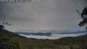 ./images/calvert/fitz-hugh-hecate/20250509/fitz-hugh-hecate20250509_060010M.jpg