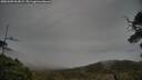 ./images/calvert/fitz-hugh-hecate/20250509/fitz-hugh-hecate20250509_064510M.jpg