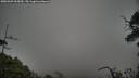 ./images/calvert/fitz-hugh-hecate/20250509/fitz-hugh-hecate20250509_065010M.jpg