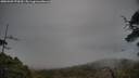 ./images/calvert/fitz-hugh-hecate/20250509/fitz-hugh-hecate20250509_070510M.jpg