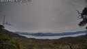 ./images/calvert/fitz-hugh-hecate/20250509/fitz-hugh-hecate20250509_075010M.jpg