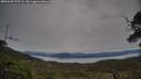 ./images/calvert/fitz-hugh-hecate/20250509/fitz-hugh-hecate20250509_075508M.jpg