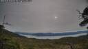 ./images/calvert/fitz-hugh-hecate/20250509/fitz-hugh-hecate20250509_080010M.jpg