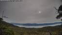 ./images/calvert/fitz-hugh-hecate/20250509/fitz-hugh-hecate20250509_080510M.jpg
