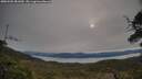 ./images/calvert/fitz-hugh-hecate/20250509/fitz-hugh-hecate20250509_081010M.jpg
