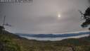 ./images/calvert/fitz-hugh-hecate/20250509/fitz-hugh-hecate20250509_081510M.jpg
