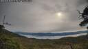 ./images/calvert/fitz-hugh-hecate/20250509/fitz-hugh-hecate20250509_082509M.jpg