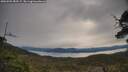 ./images/calvert/fitz-hugh-hecate/20250509/fitz-hugh-hecate20250509_083507M.jpg
