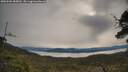 ./images/calvert/fitz-hugh-hecate/20250509/fitz-hugh-hecate20250509_085009M.jpg