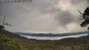 ./images/calvert/fitz-hugh-hecate/20250509/fitz-hugh-hecate20250509_085510M.jpg