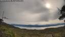 ./images/calvert/fitz-hugh-hecate/20250509/fitz-hugh-hecate20250509_091009M.jpg
