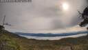 ./images/calvert/fitz-hugh-hecate/20250509/fitz-hugh-hecate20250509_091510M.jpg