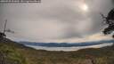 ./images/calvert/fitz-hugh-hecate/20250509/fitz-hugh-hecate20250509_092010M.jpg