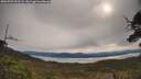 ./images/calvert/fitz-hugh-hecate/20250509/fitz-hugh-hecate20250509_092508M.jpg