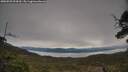 ./images/calvert/fitz-hugh-hecate/20250509/fitz-hugh-hecate20250509_094510M.jpg