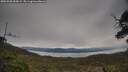 ./images/calvert/fitz-hugh-hecate/20250509/fitz-hugh-hecate20250509_095009M.jpg