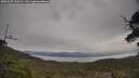 ./images/calvert/fitz-hugh-hecate/20250509/fitz-hugh-hecate20250509_100010M.jpg