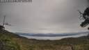 ./images/calvert/fitz-hugh-hecate/20250509/fitz-hugh-hecate20250509_102009M.jpg