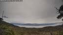./images/calvert/fitz-hugh-hecate/20250509/fitz-hugh-hecate20250509_102509M.jpg