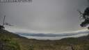 ./images/calvert/fitz-hugh-hecate/20250509/fitz-hugh-hecate20250509_103507M.jpg