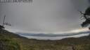 ./images/calvert/fitz-hugh-hecate/20250509/fitz-hugh-hecate20250509_104009M.jpg