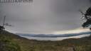 ./images/calvert/fitz-hugh-hecate/20250509/fitz-hugh-hecate20250509_104510M.jpg