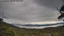 ./images/calvert/fitz-hugh-hecate/20250509/fitz-hugh-hecate20250509_105010M.jpg