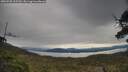 ./images/calvert/fitz-hugh-hecate/20250509/fitz-hugh-hecate20250509_105509M.jpg