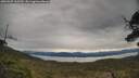 ./images/calvert/fitz-hugh-hecate/20250509/fitz-hugh-hecate20250509_110510M.jpg