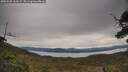 ./images/calvert/fitz-hugh-hecate/20250509/fitz-hugh-hecate20250509_112507M.jpg