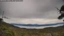 ./images/calvert/fitz-hugh-hecate/20250509/fitz-hugh-hecate20250509_113011M.jpg