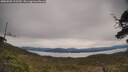 ./images/calvert/fitz-hugh-hecate/20250509/fitz-hugh-hecate20250509_113509M.jpg