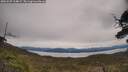 ./images/calvert/fitz-hugh-hecate/20250509/fitz-hugh-hecate20250509_114007M.jpg