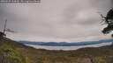 ./images/calvert/fitz-hugh-hecate/20250509/fitz-hugh-hecate20250509_114510M.jpg