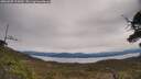 ./images/calvert/fitz-hugh-hecate/20250509/fitz-hugh-hecate20250509_115010M.jpg