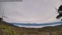 ./images/calvert/fitz-hugh-hecate/20250509/fitz-hugh-hecate20250509_120509M.jpg