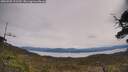 ./images/calvert/fitz-hugh-hecate/20250509/fitz-hugh-hecate20250509_121510M.jpg