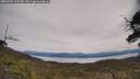 ./images/calvert/fitz-hugh-hecate/20250509/fitz-hugh-hecate20250509_122509M.jpg