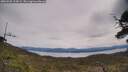 ./images/calvert/fitz-hugh-hecate/20250509/fitz-hugh-hecate20250509_123009M.jpg