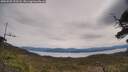 ./images/calvert/fitz-hugh-hecate/20250509/fitz-hugh-hecate20250509_123508M.jpg