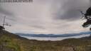 ./images/calvert/fitz-hugh-hecate/20250509/fitz-hugh-hecate20250509_124009M.jpg