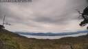 ./images/calvert/fitz-hugh-hecate/20250509/fitz-hugh-hecate20250509_124510M.jpg