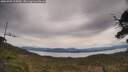 ./images/calvert/fitz-hugh-hecate/20250509/fitz-hugh-hecate20250509_125010M.jpg