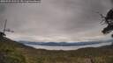 ./images/calvert/fitz-hugh-hecate/20250509/fitz-hugh-hecate20250509_131508M.jpg
